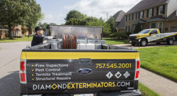 SEO Case Study: Diamond Exterminators in Chesapeake, Virginia
